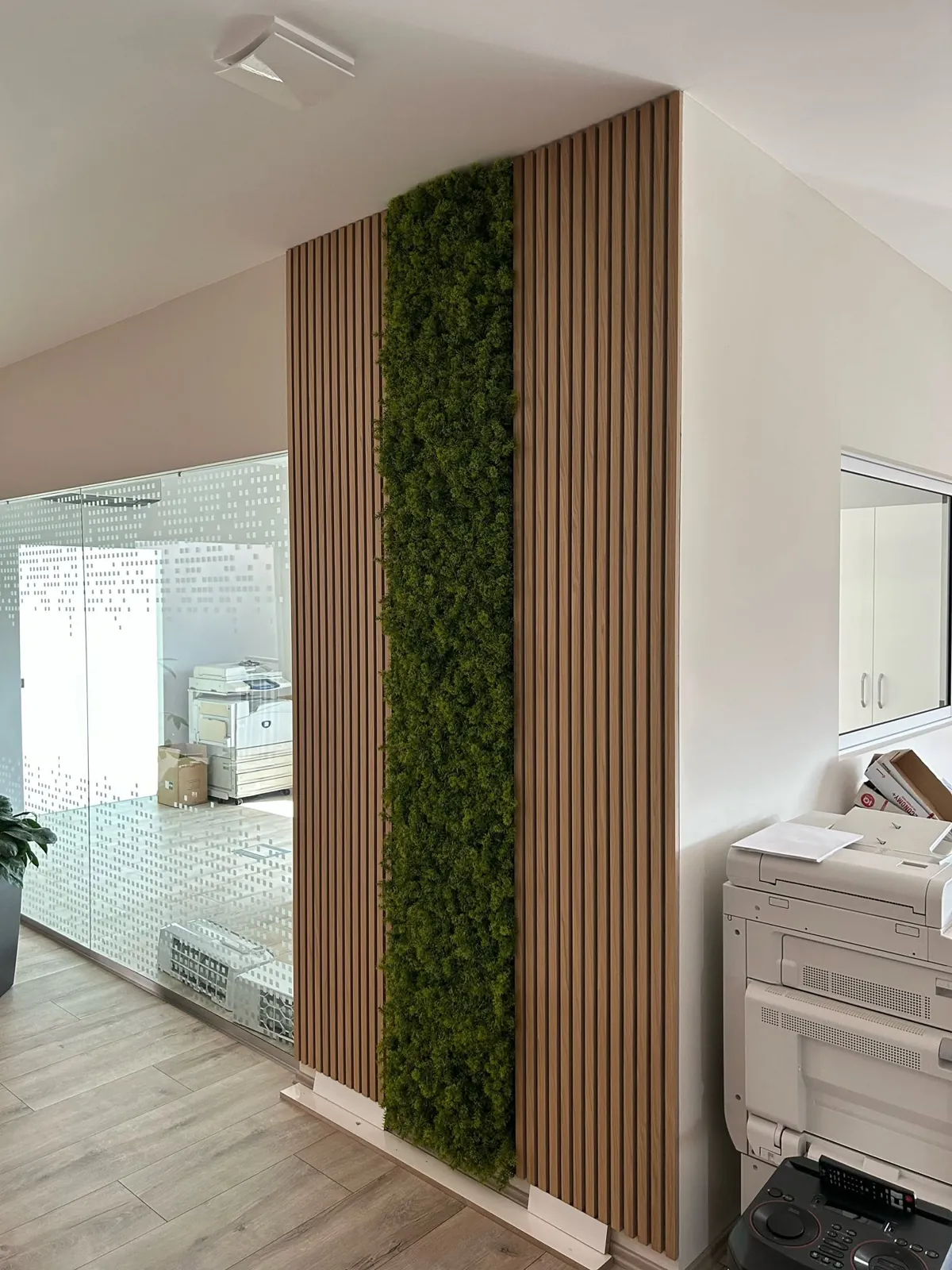 Műnövényfal és mohafal tervezés, kivitelezés – Honodesign referencia
